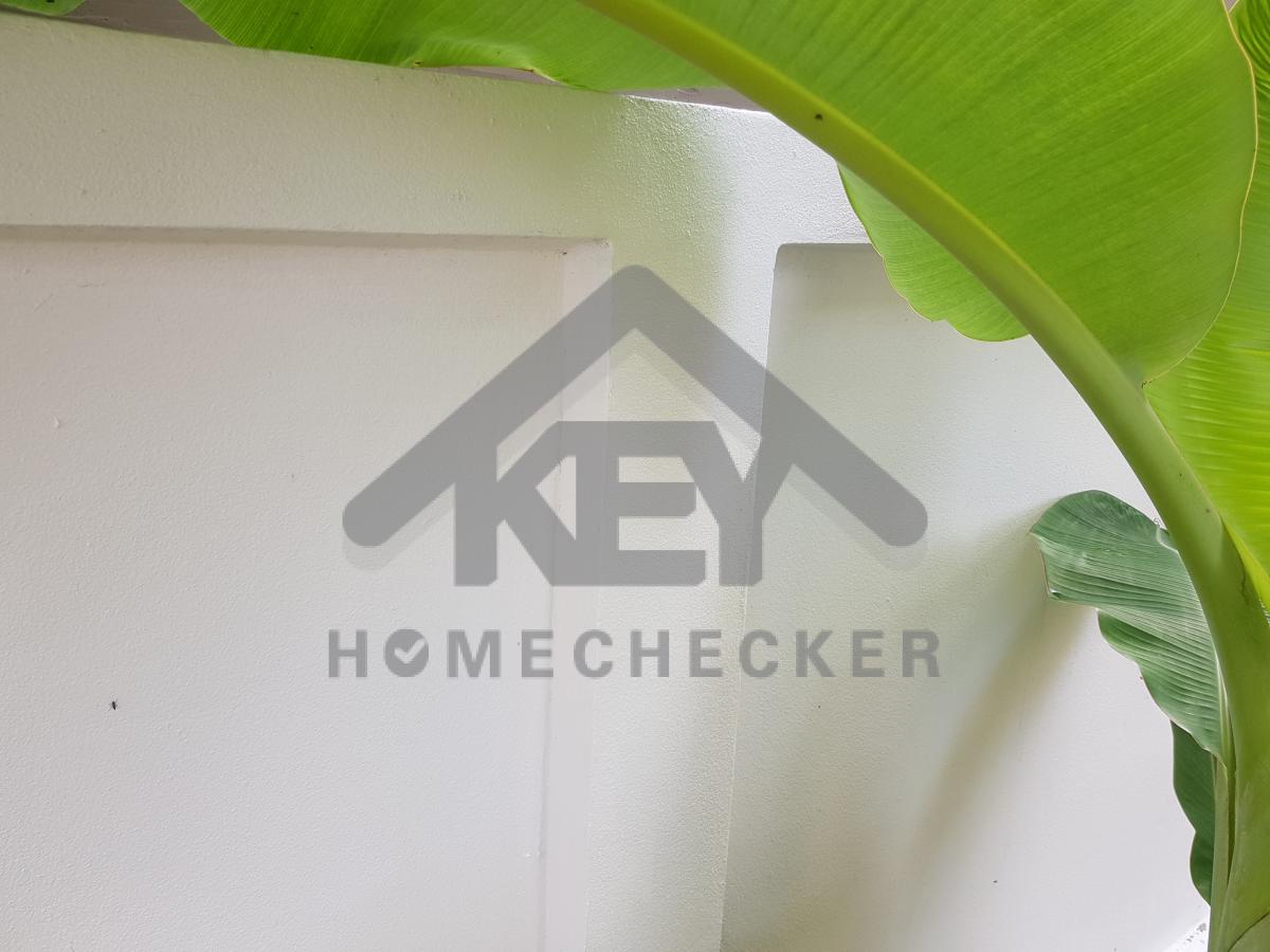 งานภูมิทัศน์และพื้นที่ภายนอกบ้าน