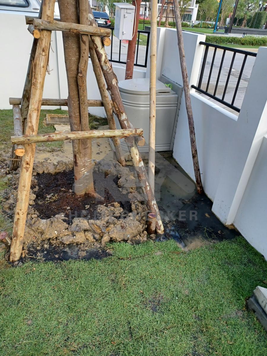 งานภูมิทัศน์และพื้นที่ภายนอกบ้าน