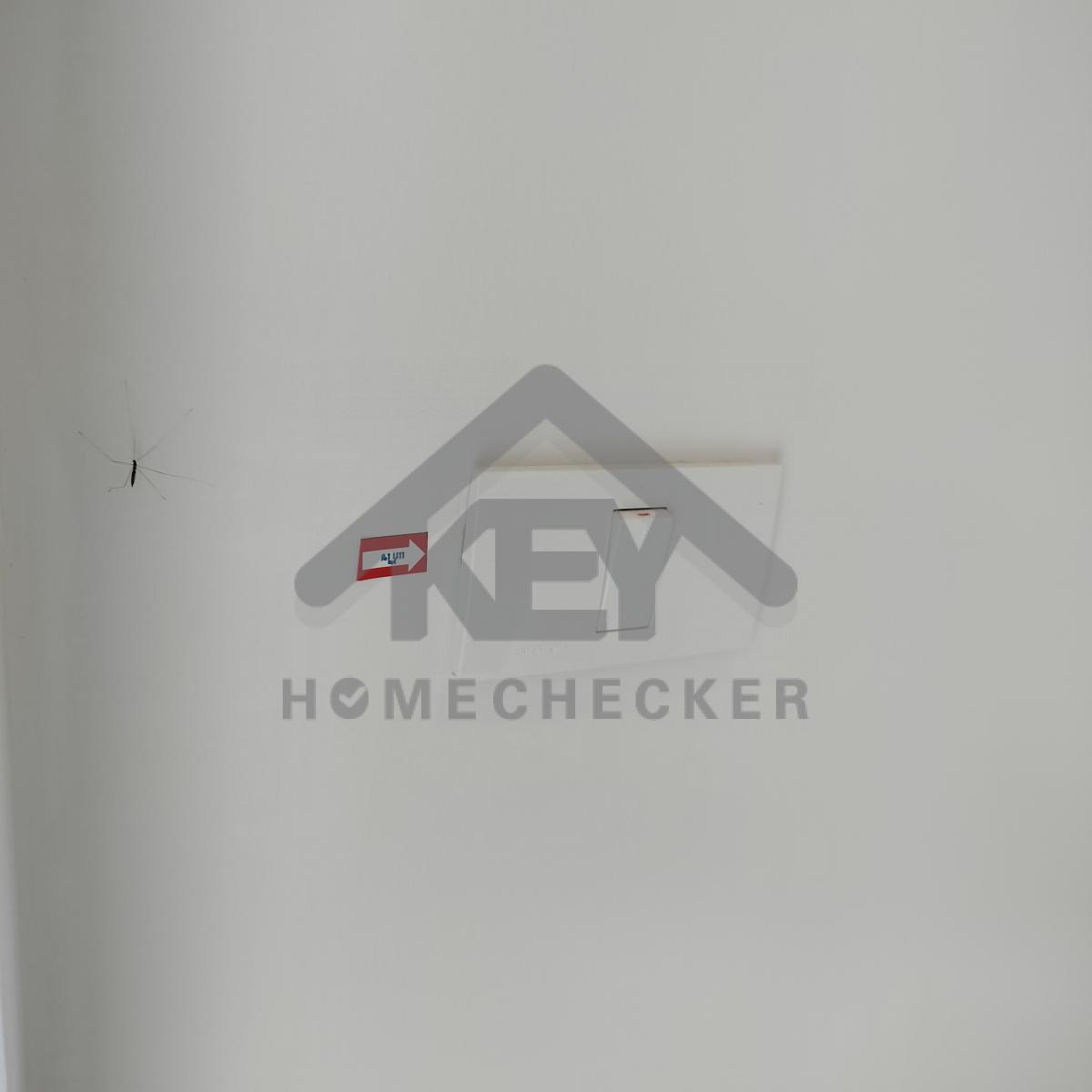 งานภูมิทัศน์และพื้นที่ภายนอกบ้าน