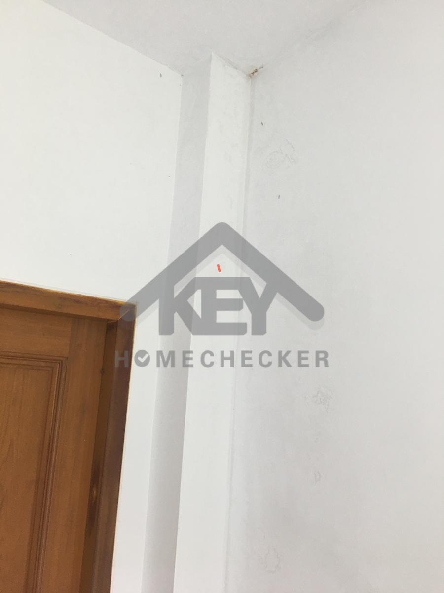 งานห้องโถง ห้องนั่งเล่น